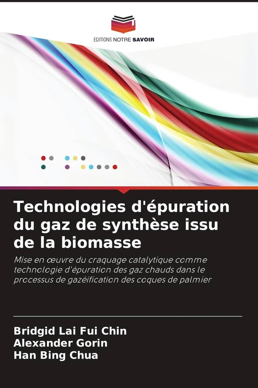 Technologies d'épuration du gaz de synthèse issu de la biomasse: Mise en ¿uvre du craquage catalytique comme technologie d'épuration des gaz chauds ... de gazéification des coques de palmier
