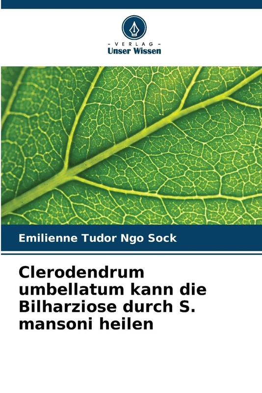 Clerodendrum umbellatum kann die Bilharziose durch S. mansoni heilen