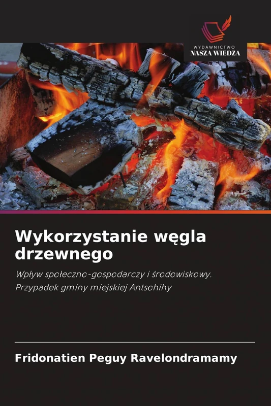 Wykorzystanie węgla drzewnego: Wp¿yw spo¿eczno-gospodarczy i ¿rodowiskowy. Przypadek gminy miejskiej Antsohihy - Image 1