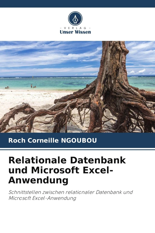 Relationale Datenbank und Microsoft Excel-Anwendung: Schnittstellen zwischen relationaler Datenbank und Microsoft Excel-Anwendung