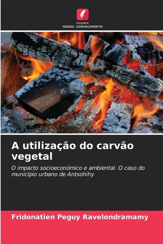 A utilização do carvão vegetal: O impacto socioeconómico e ambiental. O caso do município urbano de Antsohihy
