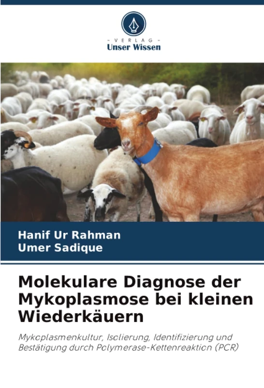 Molekulare Diagnose der Mykoplasmose bei kleinen Wiederkäuern: Mykoplasmenkultur, Isolierung, Identifizierung und Bestätigung durch Polymerase-Kettenreaktion (PCR)