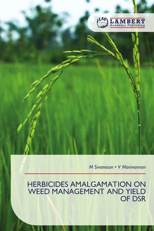 Herbicides Amalgamation on Weed Management and Yield of Dsr