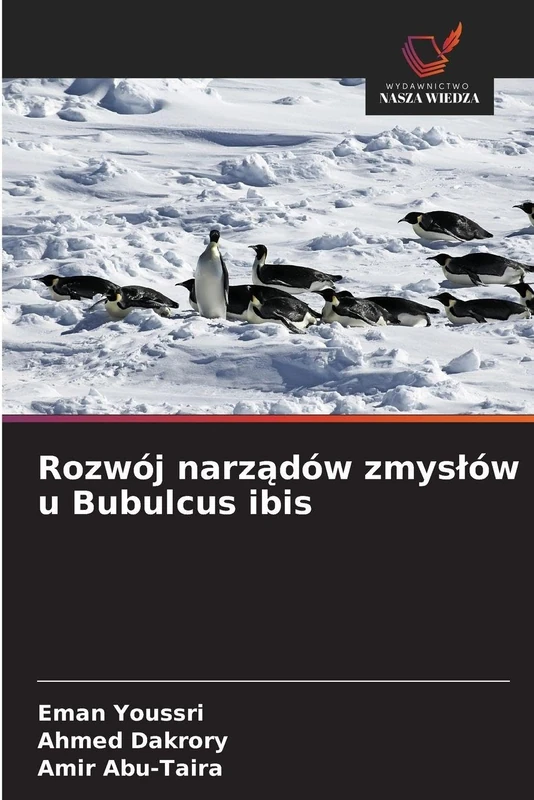 Rozwój narządów zmysłów u Bubulcus ibis