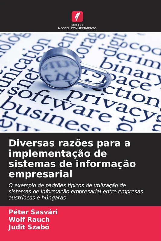 Diversas razões para a implementação de sistemas de informação empresarial: O exemplo de padrões típicos de utilização de sistemas de informação empresarial entre empresas austríacas e húngaras - Image 1