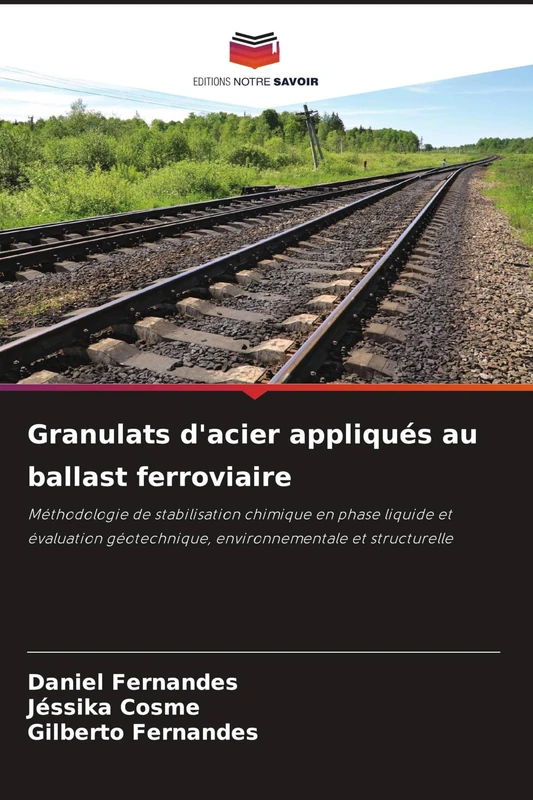 Granulats d'acier appliqués au ballast ferroviaire: Méthodologie de stabilisation chimique en phase liquide et évaluation géotechnique, environnementale et structurelle - Image 1
