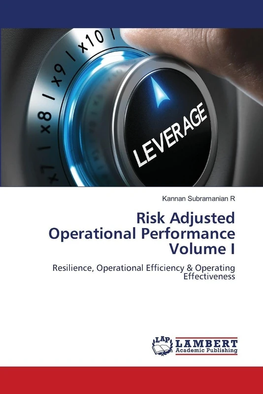 Risk Adjusted Operational Performance Volume I: Resilience, Operational Efficiency & Operating Effectiveness