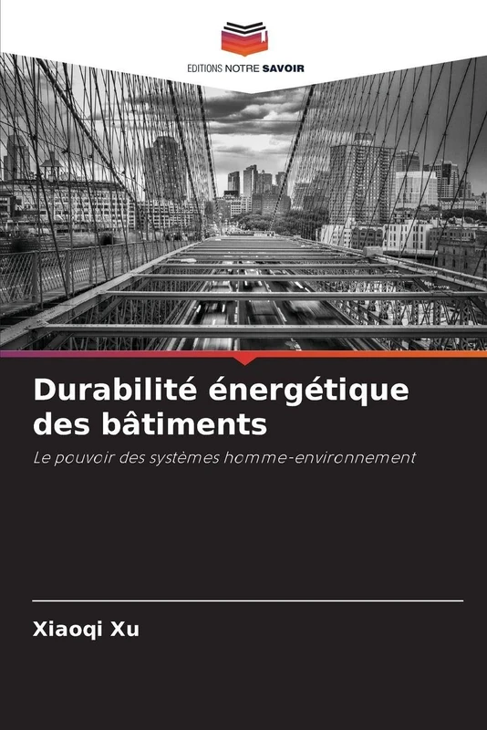 Durabilité énergétique des bâtiments: Le pouvoir des systèmes homme-environnement
