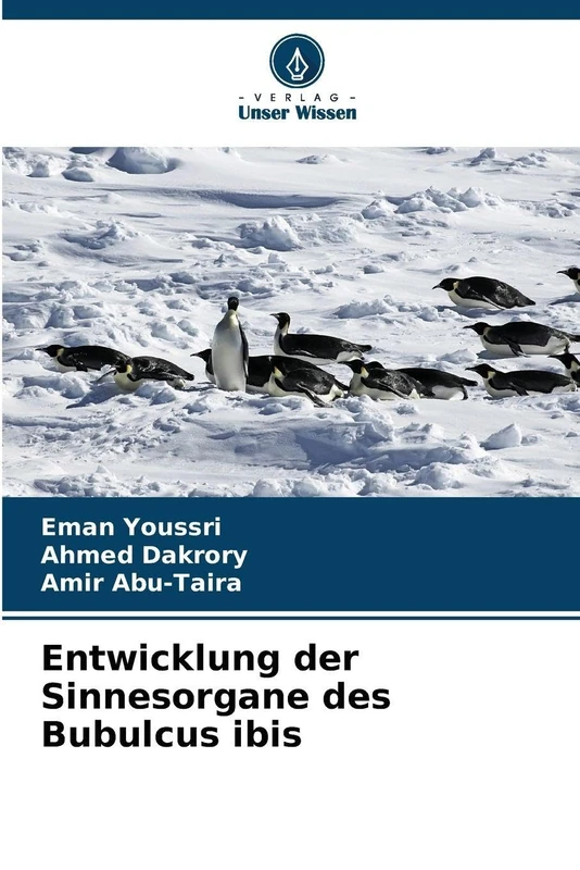 Entwicklung der Sinnesorgane des Bubulcus ibis - Image 1