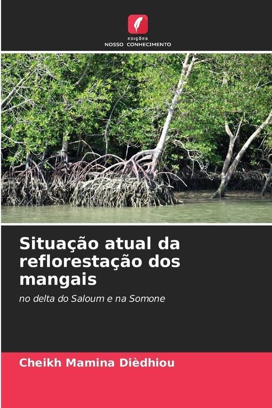 Situação atual da reflorestação dos mangais: no delta do Saloum e na Somone - Image 1
