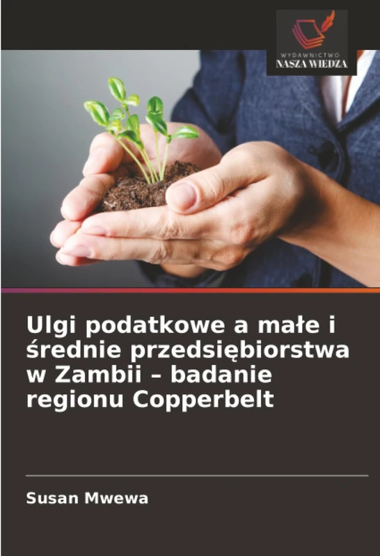 Ulgi podatkowe a małe i średnie przedsiębiorstwa w Zambii – badanie regionu Copperbelt
