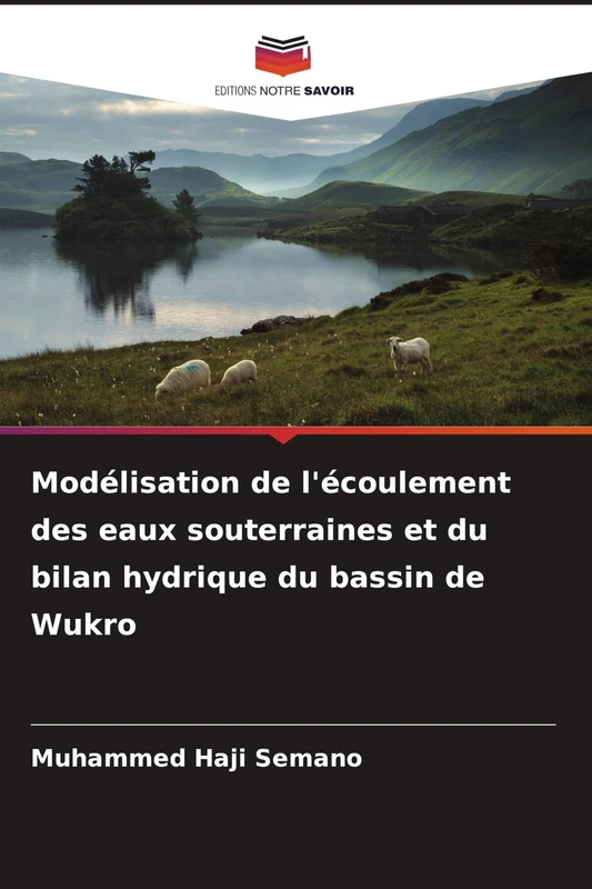 Modélisation de l'écoulement des eaux souterraines et du bilan hydrique du bassin de Wukro