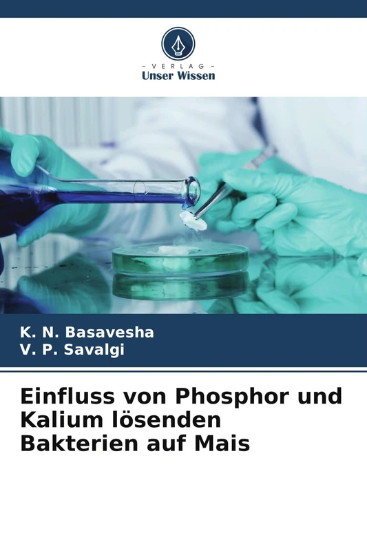 Einfluss von Phosphor und Kalium lösenden Bakterien auf Mais
