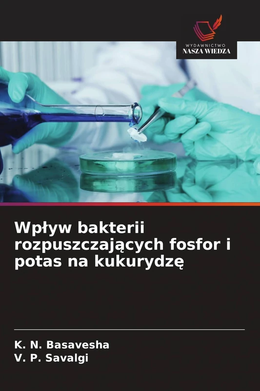 Wpływ bakterii rozpuszczających fosfor i potas na kukurydzę
