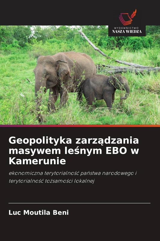 Geopolityka zarządzania masywem leśnym EBO w Kamerunie: ekonomiczna terytorialno¿¿ pa¿stwa narodowego i terytorialno¿¿ to¿samo¿ci lokalnej - Image 1
