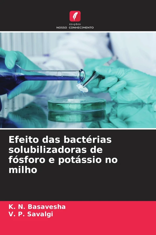 Efeito das bactérias solubilizadoras de fósforo e potássio no milho