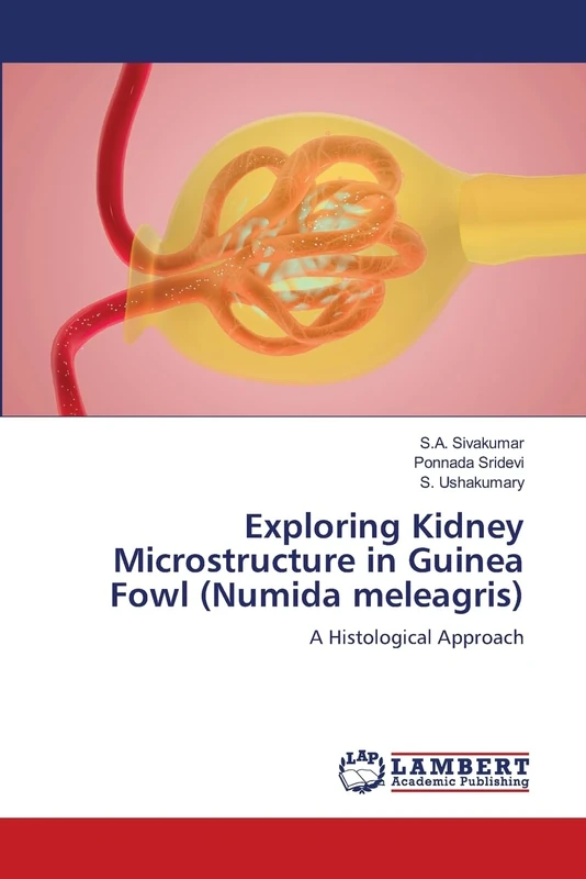Exploring Kidney Microstructure in Guinea Fowl (Numida meleagris): A Histological Approach - Image 1