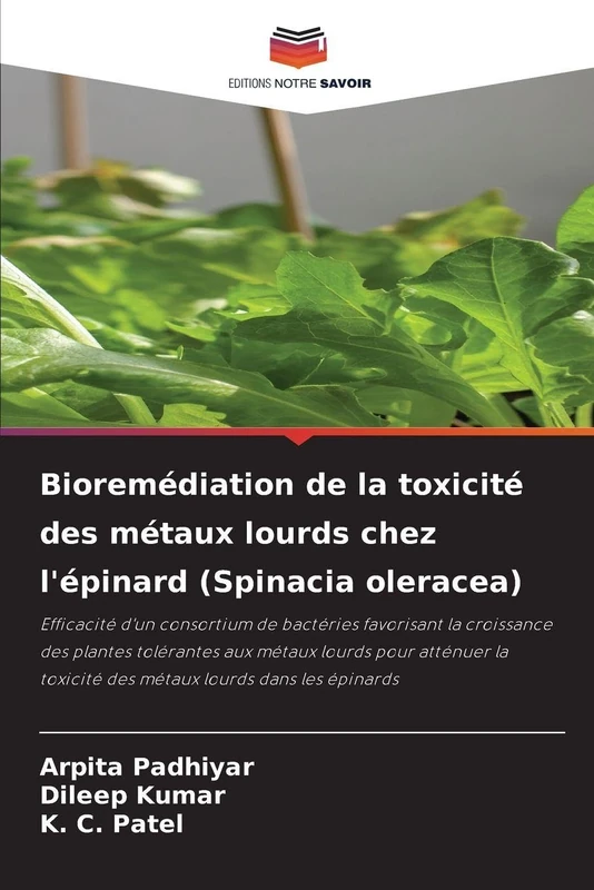 Bioremédiation de la toxicité des métaux lourds chez l'épinard (Spinacia oleracea): Efficacité d'un consortium de bactéries favorisant la croissance ... toxicité des métaux lourds dans les épinards