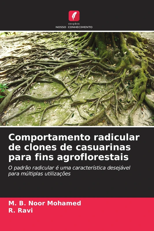 Comportamento radicular de clones de casuarinas para fins agroflorestais: O padrão radicular é uma característica desejável para múltiplas utilizações - Image 1