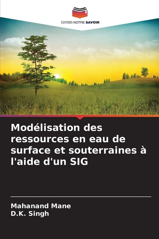 Modélisation des ressources en eau de surface et souterraines à l'aide d'un SIG - Image 1