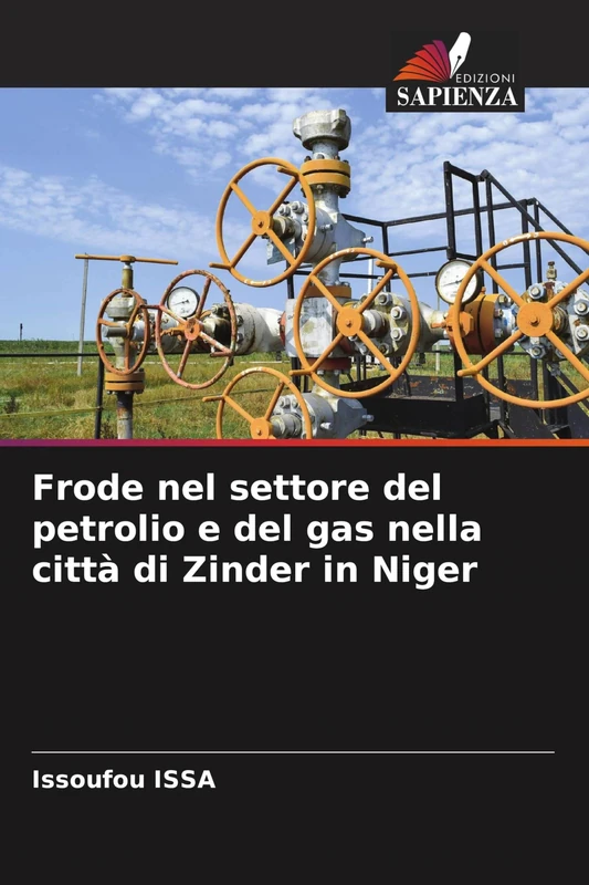 Frode nel settore del petrolio e del gas nella città di Zinder in Niger - Image 1