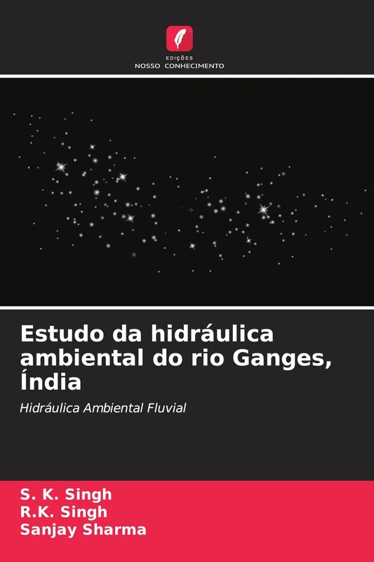 Estudo da hidráulica ambiental do rio Ganges, Índia: Hidráulica Ambiental Fluvial - Image 1