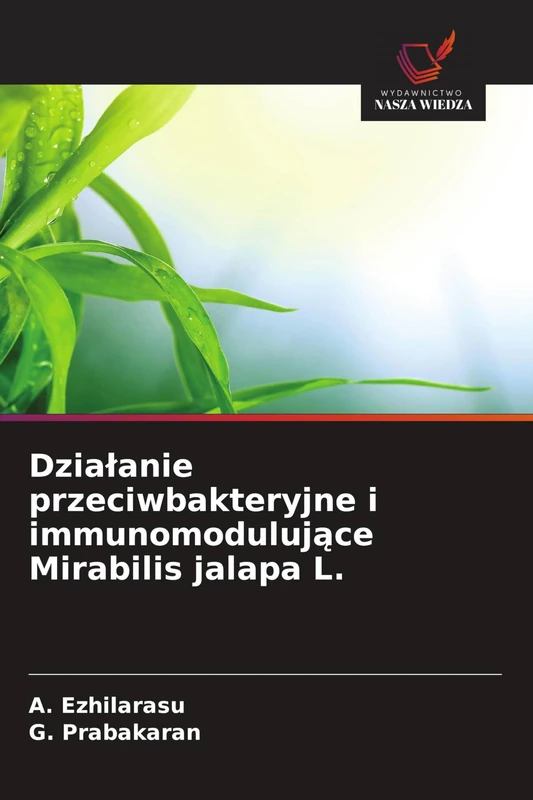 Działanie przeciwbakteryjne i immunomodulujące Mirabilis jalapa L.