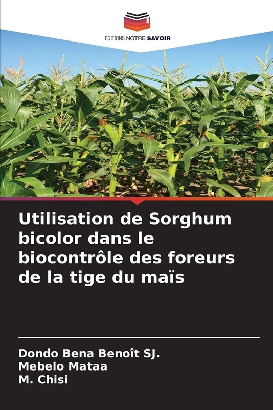 Utilisation de Sorghum bicolor dans le biocontrôle des foreurs de la tige du maïs