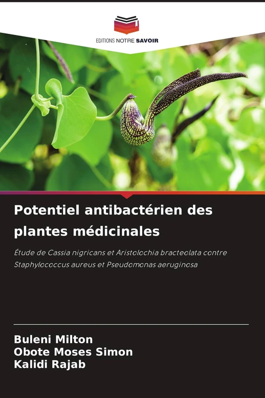 Potentiel antibactérien des plantes médicinales: Étude de Cassia nigricans et Aristolochia bracteolata contre Staphylococcus aureus et Pseudomonas aeruginosa