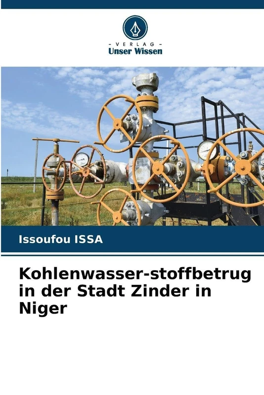Kohlenwasser-stoffbetrug in der Stadt Zinder in Niger - Image 1