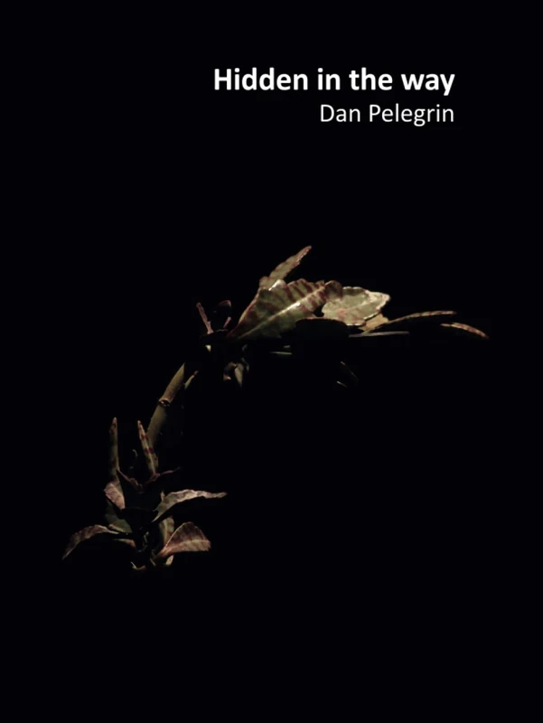 Hidden in the way: Aisthesis of Pareidolia