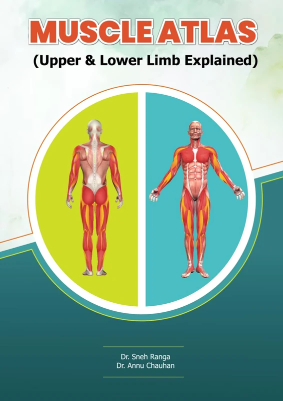 Muscle Atlas: (Upper & Lower Limb Explained)