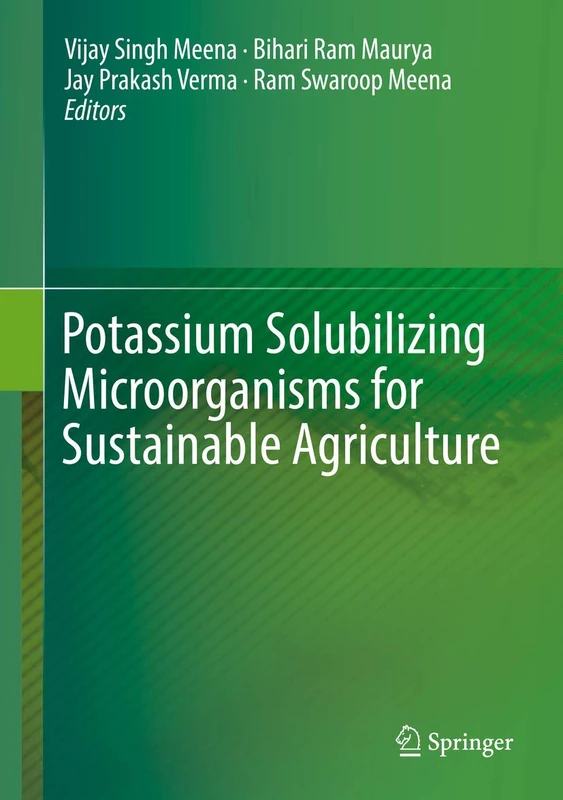 Potassium Solubilizing Microorganisms for Sustainable Agriculture - Image 1