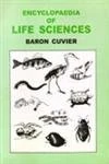 Encyclopaedia of Life Sciences-18 vols - Image 1