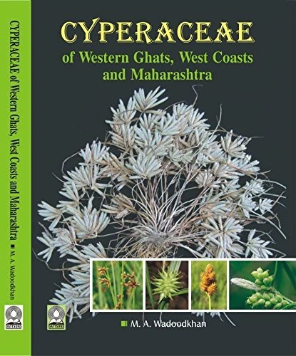 Cyperaceae of Western Ghats, West Coast and Maharashtra - Image 1
