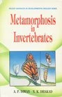 Metamorphosis in Invertebrates