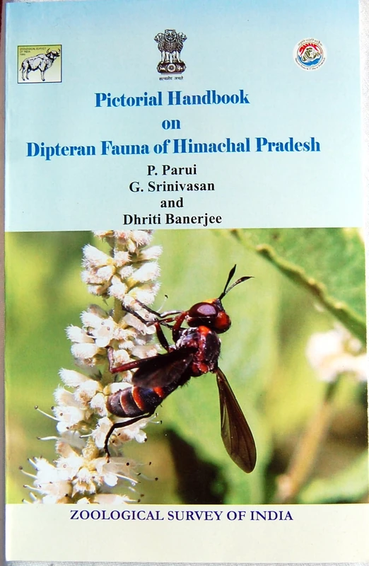 Polyclads of Andaman and Nicobar Islands