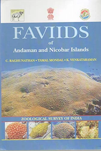 Faviids of Andaman and Nicobar Islands - Image 1