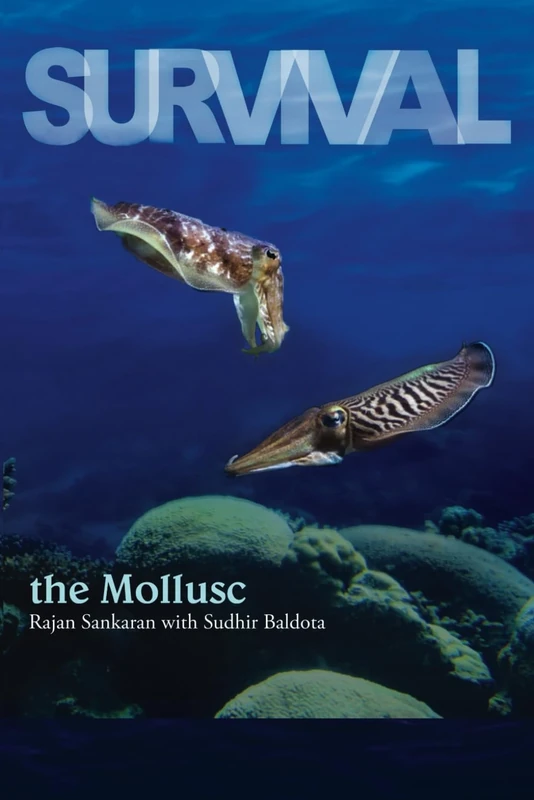 Survival - the Mollusc