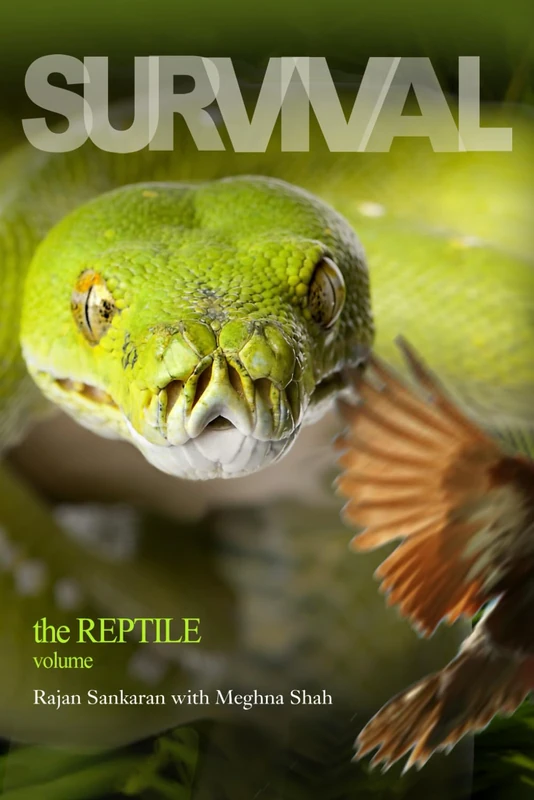 Survival - The Reptile Vol. 1 - Image 1