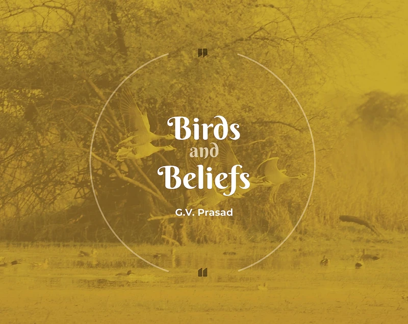Birds and Beliefs - Image 1