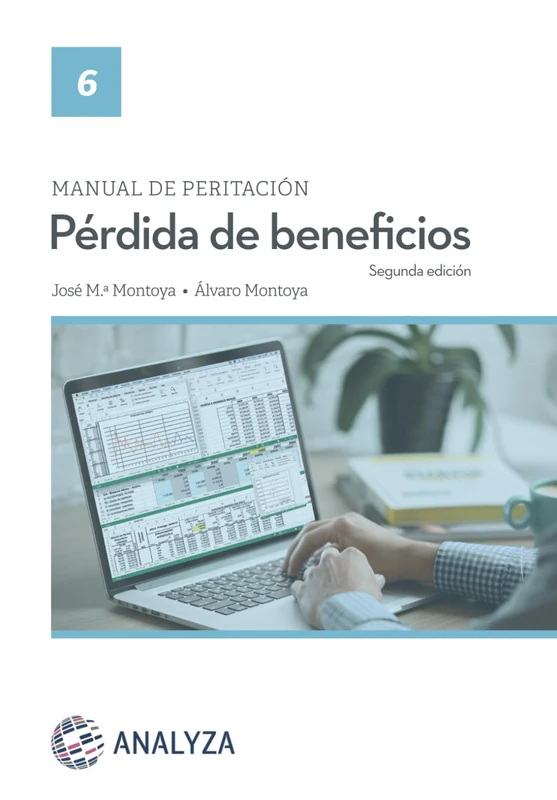 Manual de peritación. Pérdida de beneficios: Segunda edición - Image 1