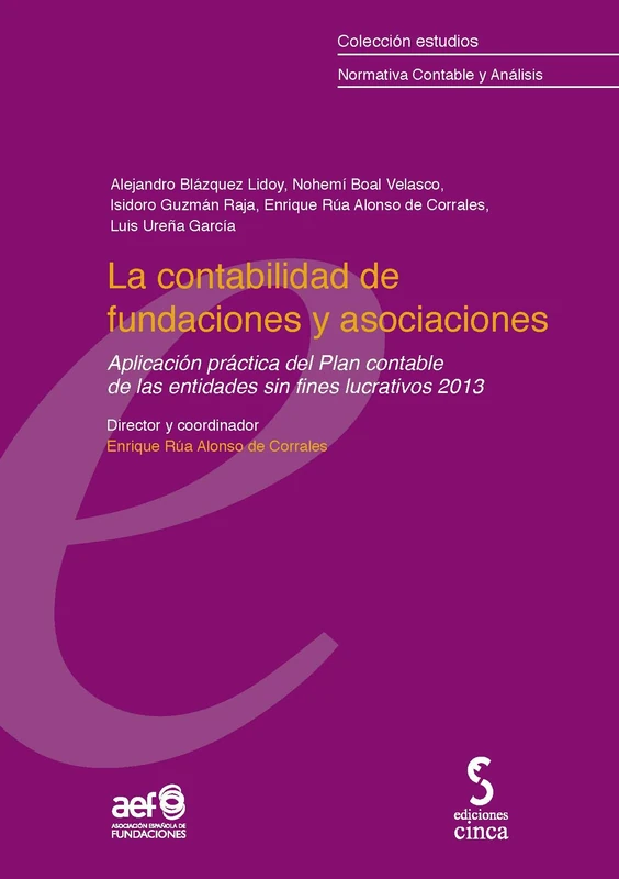 La contabilidad de fundaciones y asociaciones: Aplicación del plan contable de las entidades sin fines lucrativos