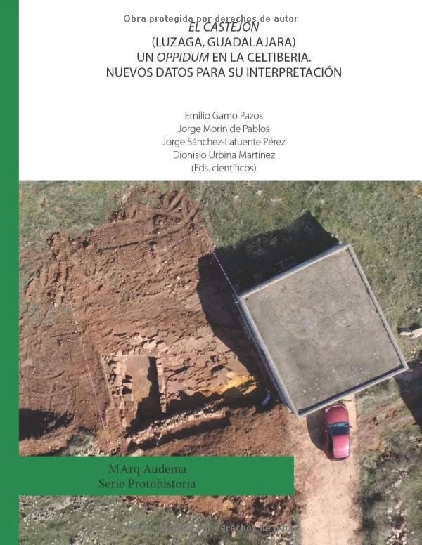 El Castejón (Luzaga, Guadalajara) Un oppidum en la Celtiberia. Nuevos datos para su interpretación - Image 1