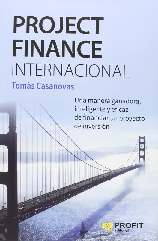 Project finance internacional : una manera ganadora, inteligente y eficaz de financiar un proyecto de inversión - Image 1