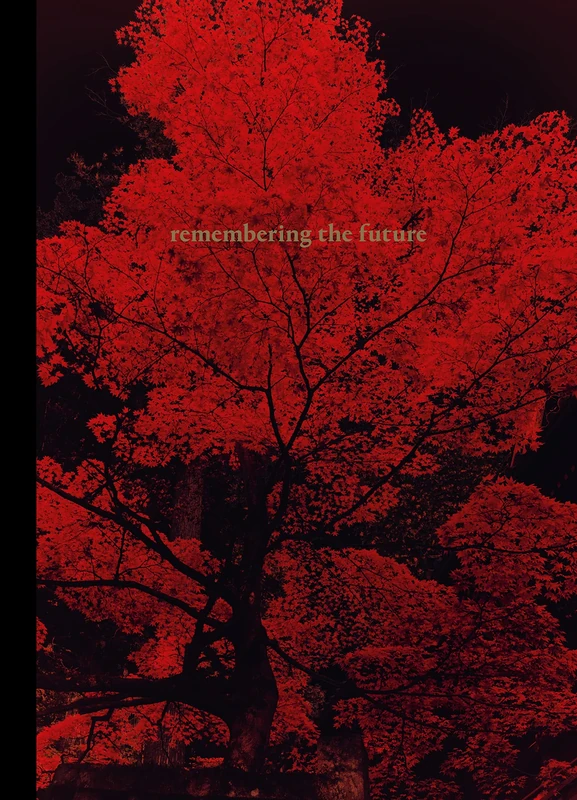 Remembering the Future (Assorted Cover)