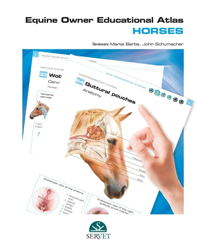 Equine owner educational atlas - Horses