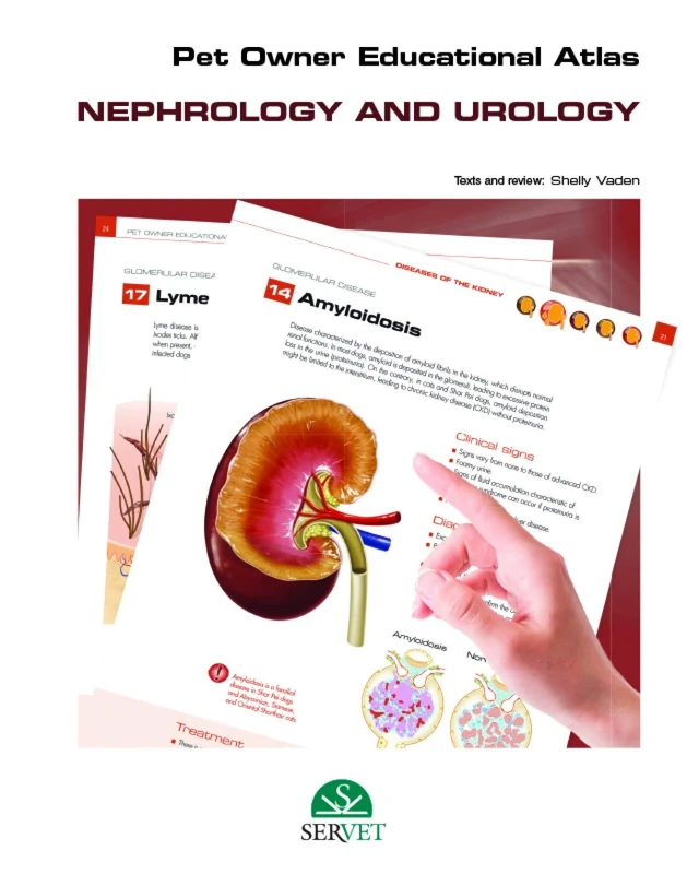 Pet owner educational atlas - Nephrology and urology: 12