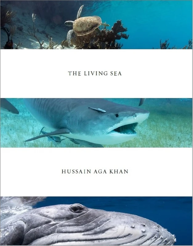 Hussain Aga Khan: The Living Sea - Image 1