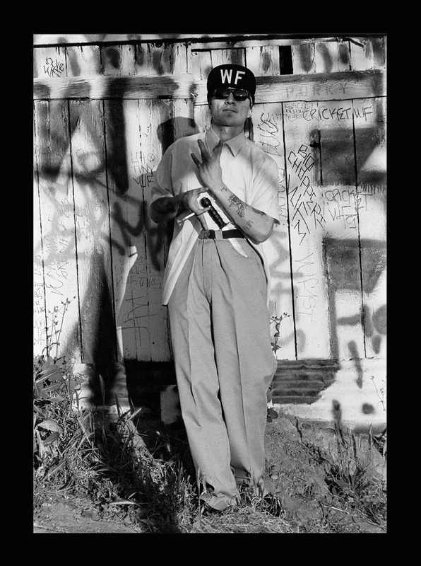 White Fence - Image 1